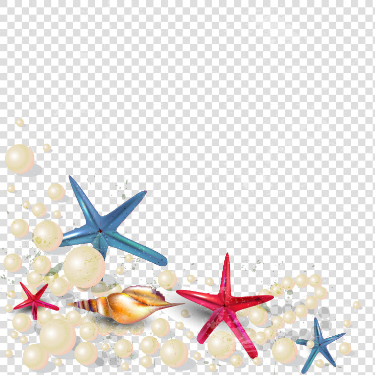 Starfish Clipart Sandy   Transparent Background Sea Shells Clip Art  HD Png DownloadTransparent PNG