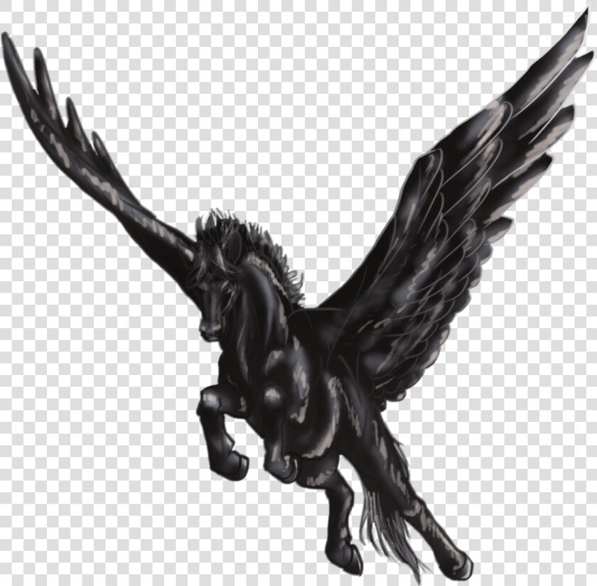 Black Pegasus   Black And White Winged Horse  HD Png DownloadTransparent PNG