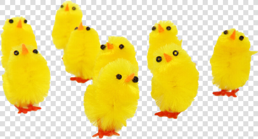  ftestickers  easter  chicks  cute   Yellow Easter Chickens Png  Transparent PngTransparent PNG