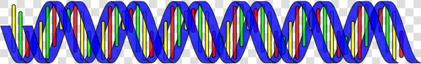 Double Helix Png  Transparent PngTransparent PNG