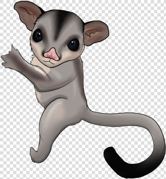 Sugar Glider Cartoon Transparent  HD Png DownloadTransparent PNG