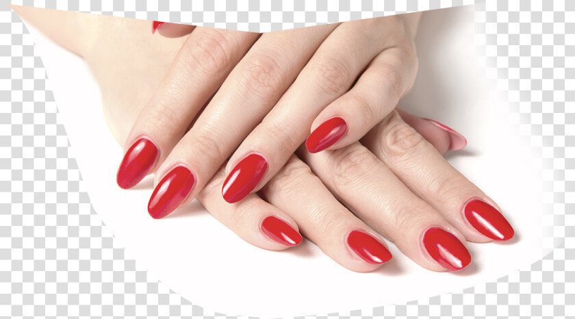 Clip Art Nikki Tanning Nail Care   Transparent Red Nails Png  Png DownloadTransparent PNG