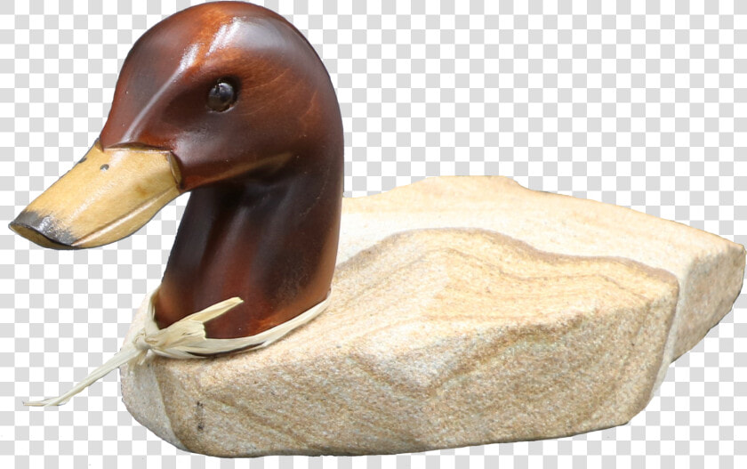 Stone Age Creations Duck  HD Png DownloadTransparent PNG