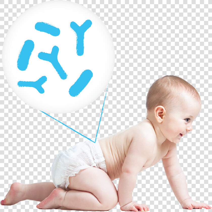 Transparent Baby Crawling Png   Baby  Png DownloadTransparent PNG