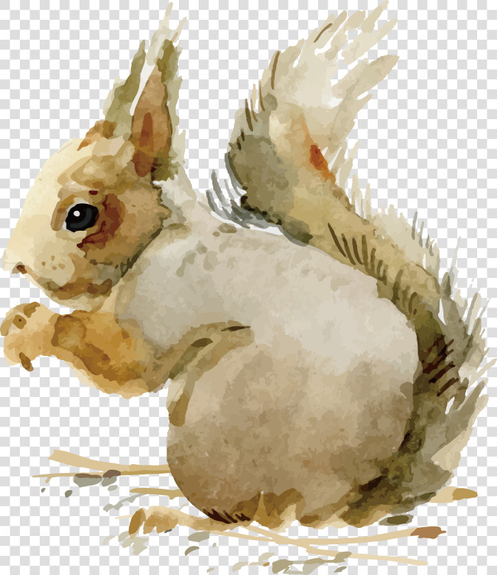 Domestic Rabbit Adobe Illustrator   Vintage Images Of Animals In Fall  HD Png DownloadTransparent PNG