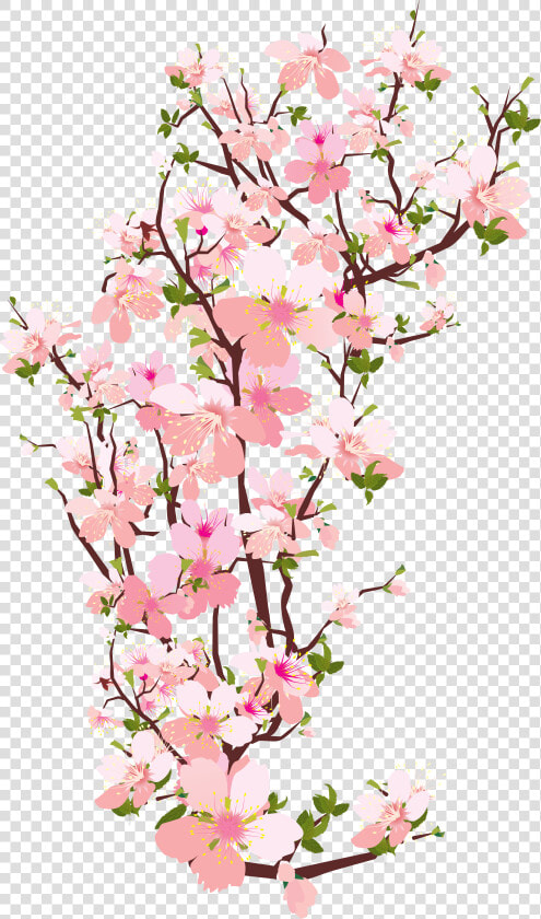 Pin By Fida Kamal On Desenhos 3   Cherry Blossom Branch Transparent  HD Png DownloadTransparent PNG