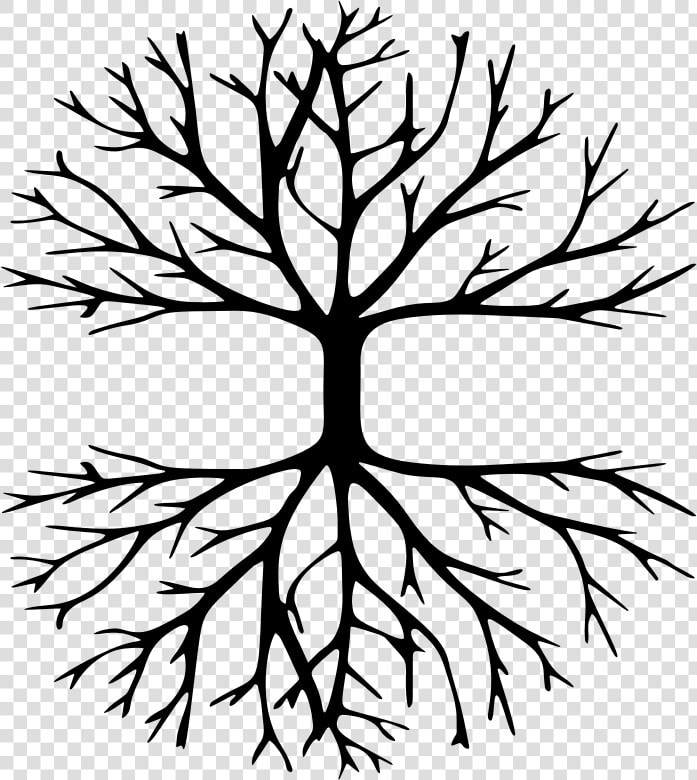 American Larch white Pine plant   Tree Drawing With Message  HD Png DownloadTransparent PNG