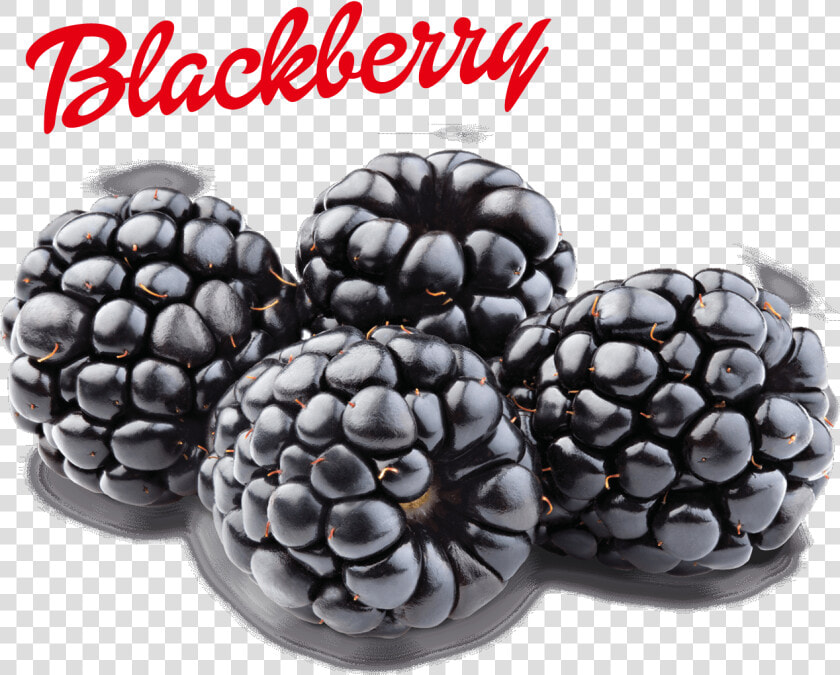 Blackberry Png Image   Transparent Blackberry Png  Png DownloadTransparent PNG