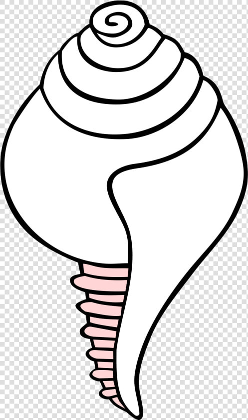 White Conch Symbol   Conch Shell Drawing Easy  HD Png DownloadTransparent PNG