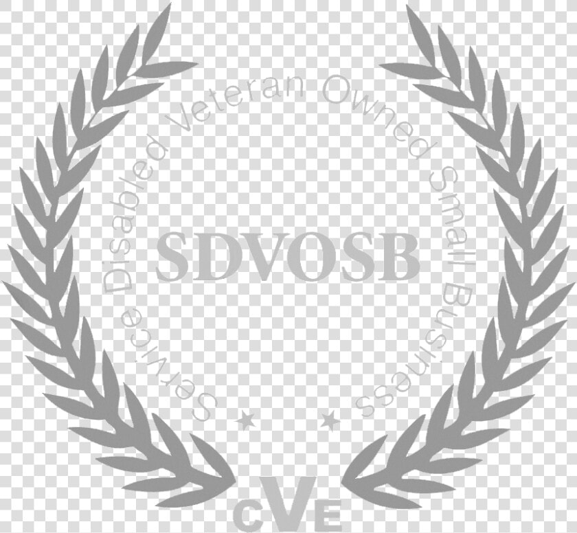 Veterans Health Equipment Llc Rh Com Sdvosb Logo Vector   Service disabled Veteran owned Small Business  HD Png DownloadTransparent PNG