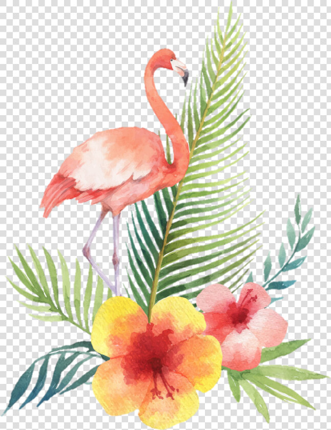  flamingo  bird  tropical  summer  watercolor   Flamingo Tropical Watercolor Vector  HD Png DownloadTransparent PNG