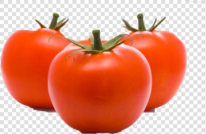 Tomato Png Free Commercial Use Images   Png Images Domates Png  Transparent PngTransparent PNG