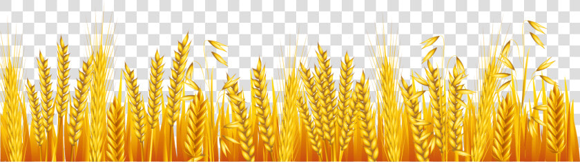 Common Cartoon Transprent Png Free Download Grass   Cartoon Wheat Field Png  Transparent PngTransparent PNG