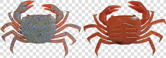 Freshwater Crab  HD Png DownloadTransparent PNG