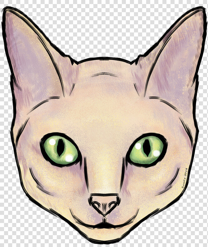 Cat S Face   Squitten  HD Png DownloadTransparent PNG