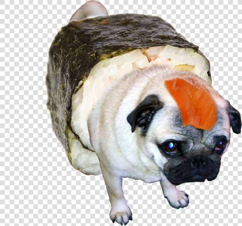 Transparent Pug Clipart Images   Pug Sushi  HD Png DownloadTransparent PNG