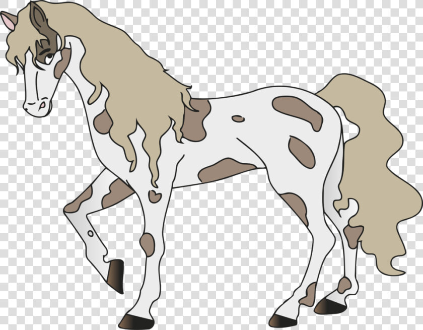 Donkey pony livestock   Foal  HD Png DownloadTransparent PNG