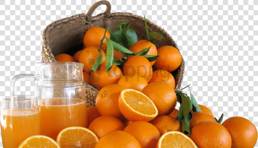 Free Png Naranja Png Png Image With Transparent Background   Tangerine  Png DownloadTransparent PNG