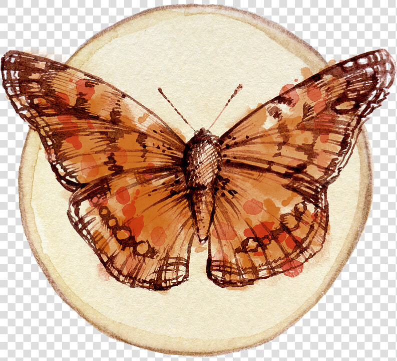 Butterfly  Scrapbooking  Embellishment  Tag  Watercolor  HD Png DownloadTransparent PNG