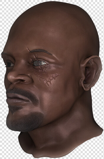 Samuel L Jackson Png  Transparent PngTransparent PNG