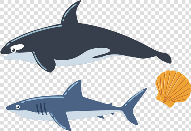 Sea Creatures Png Images  Pictures Free Download   Sea Animal Vector  Transparent PngTransparent PNG