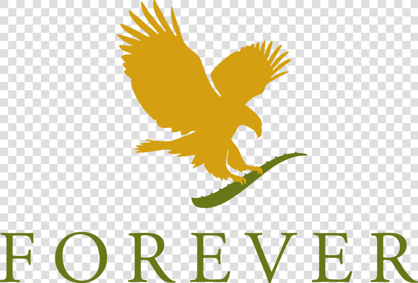 Forever Living Products Logo  HD Png DownloadTransparent PNG