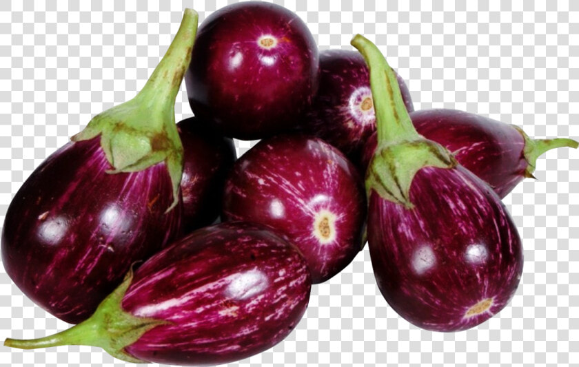 Brinjal Png Image   Brinjal Png  Transparent PngTransparent PNG