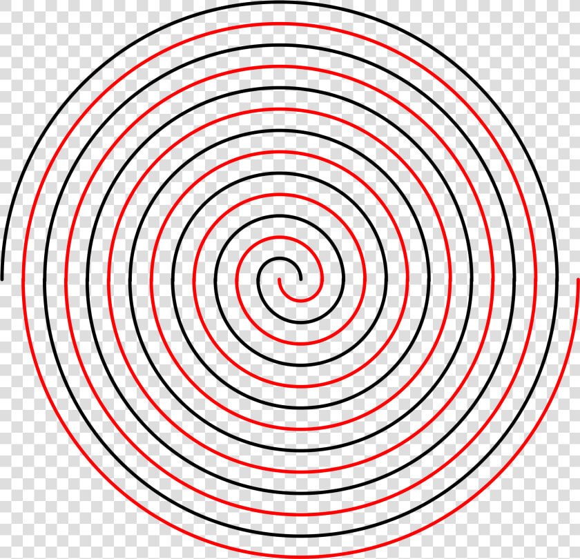 Double Linear Spiral Clip Arts  HD Png DownloadTransparent PNG