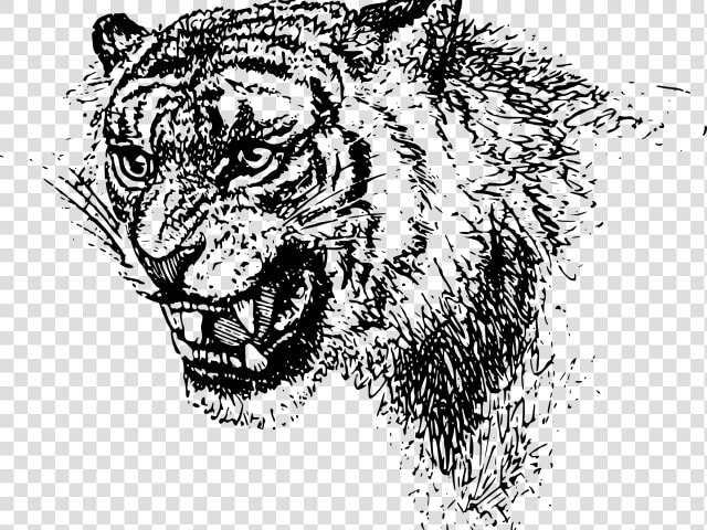 Transparent Tiger Clipart   Black Clip Art Tiger Free  HD Png DownloadTransparent PNG