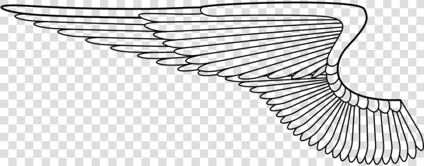 Angel Wings  Angel  Wing  Bird  Feathers  Flying   Angel Wing Vector Png  Transparent PngTransparent PNG