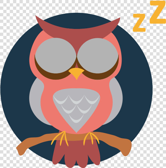 Buho   Owl  HD Png DownloadTransparent PNG