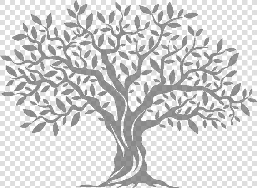 Olive Tree Computer Icons   Olive Tree Silhouette Png  Transparent PngTransparent PNG