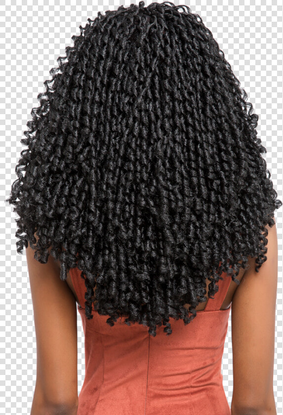 Jheri curl   Lace Wig  HD Png DownloadTransparent PNG