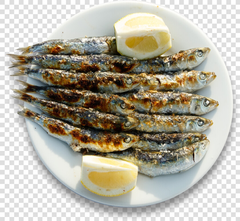 Anchovy  food   HD Png DownloadTransparent PNG