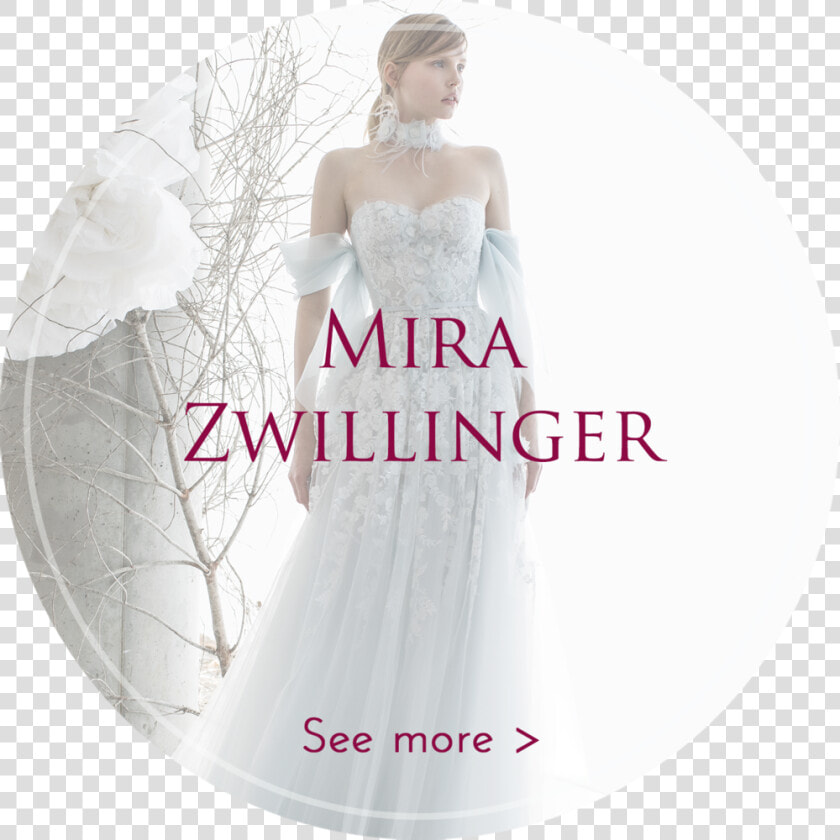 Mz Cover   Drape Sleeve Wedding Dress  HD Png DownloadTransparent PNG