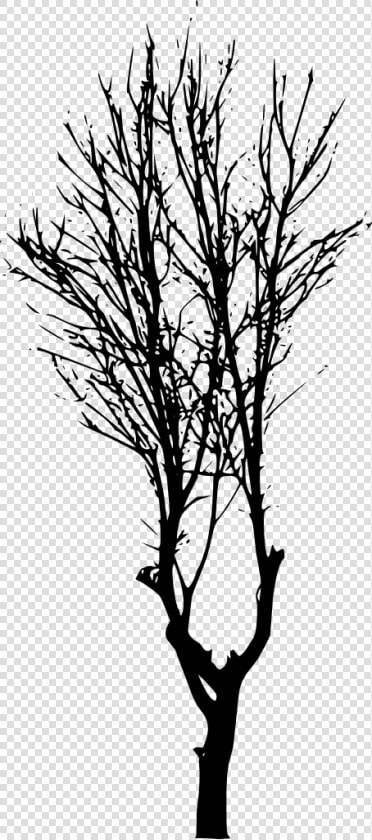 Tree silhouette   Forest Trees Silhouette Png  Transparent PngTransparent PNG