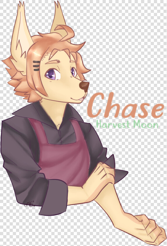 Chase   Harvest Moon   Chase Harvest Moon  HD Png DownloadTransparent PNG