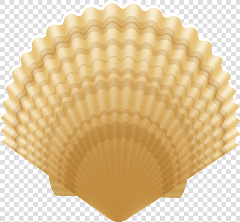 Clam Shell Clip Art Image   Portable Network Graphics  HD Png DownloadTransparent PNG