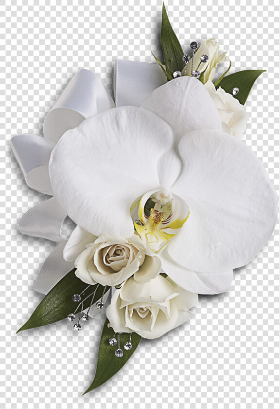 White Wedding Flowers Png   Phalaenopsis Orchid Wrist Corsage  Transparent PngTransparent PNG