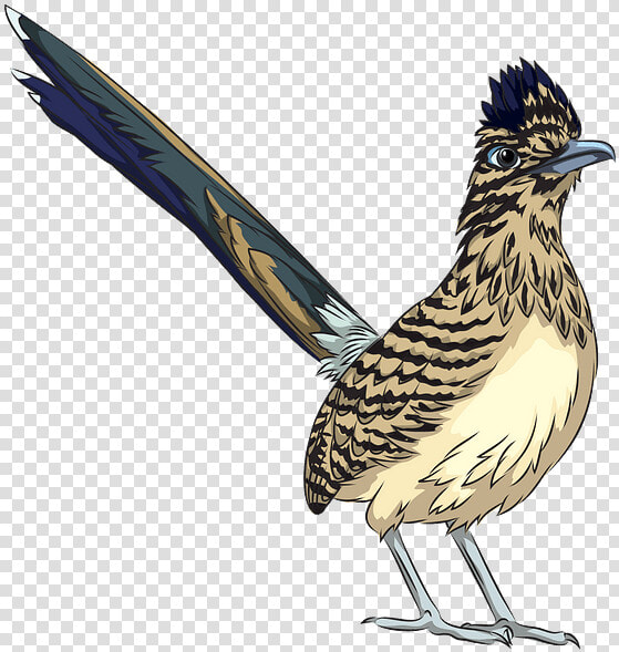 Roadrunner  HD Png DownloadTransparent PNG