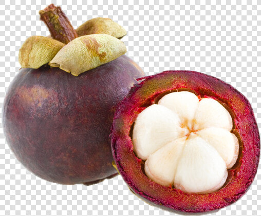 Citrus Fruit Png Free File   Many Seeds Does A Mangosteen Have  Transparent PngTransparent PNG