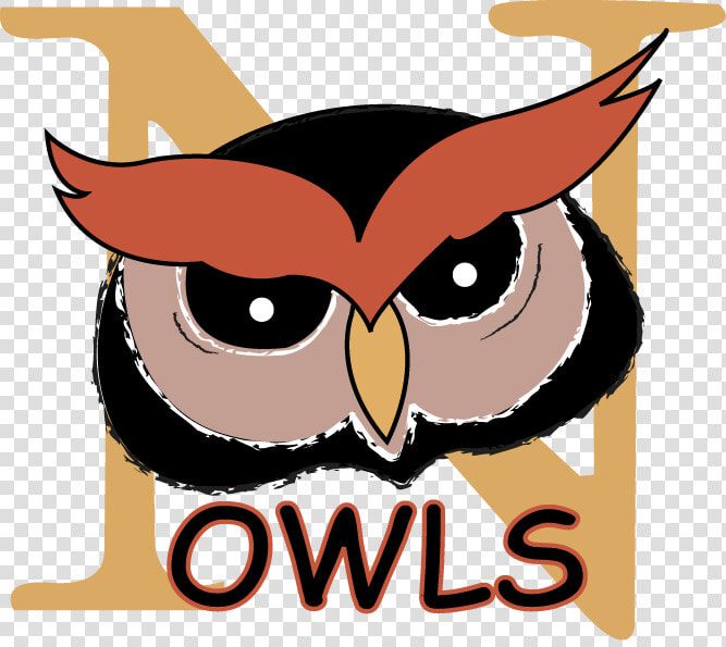 Nightingale Charter Owl  HD Png DownloadTransparent PNG