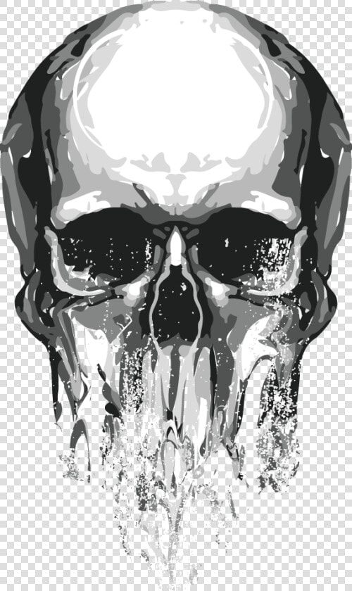 Skull Euclidean Vector   Png Transparent Skull Png  Png DownloadTransparent PNG