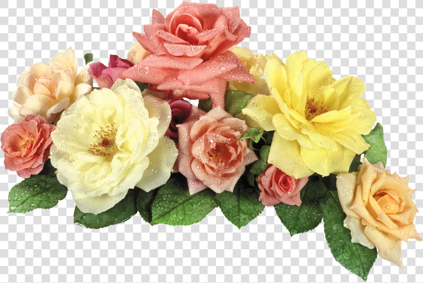 View Full Size   Png Format Flower Png Hd  Transparent PngTransparent PNG