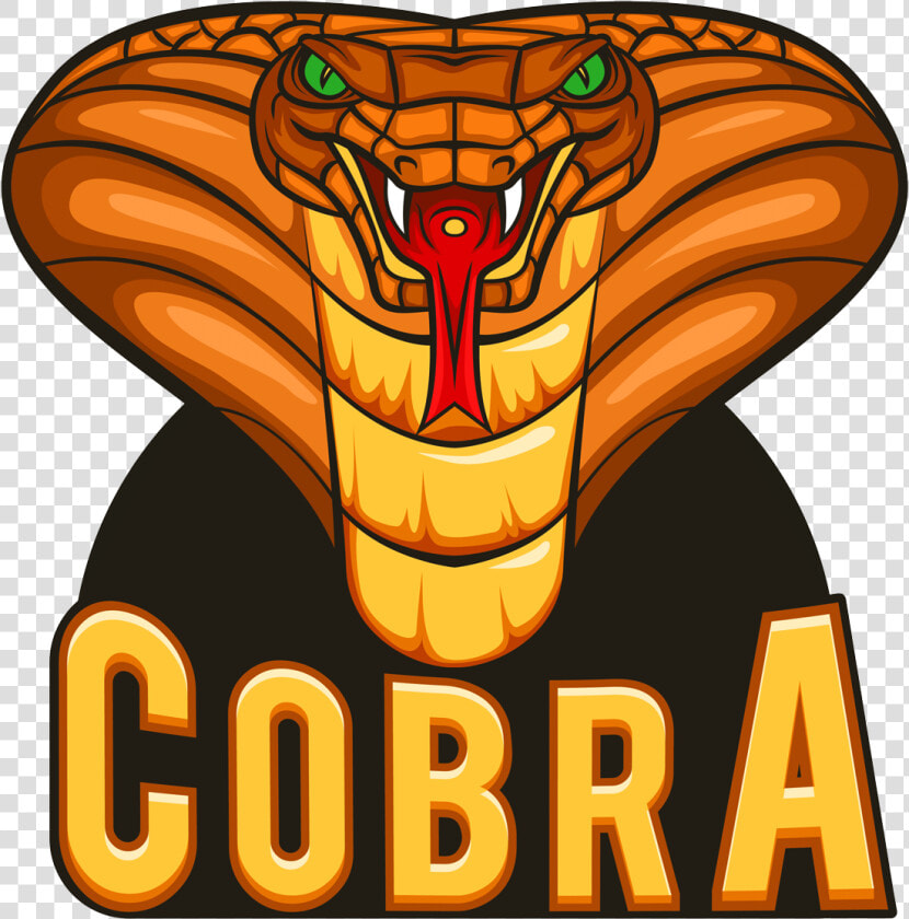 Cobra Logo Zonder Slogan Rgb Small   Snake Head Cartoon  HD Png DownloadTransparent PNG