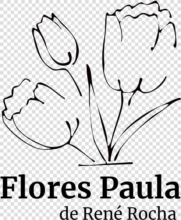 Flores Paula   Tulip  HD Png DownloadTransparent PNG