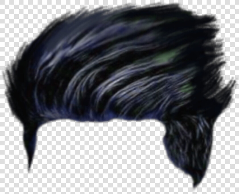 Hair Png  Hair Png Cb  Picsart Hair Png  Cb Hair Png    Flightless Bird  Transparent PngTransparent PNG