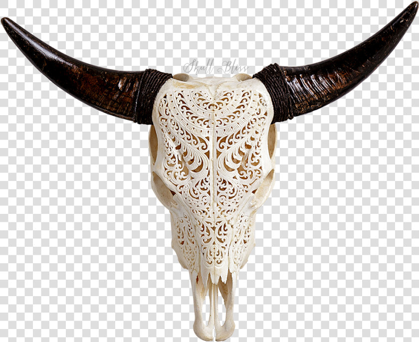 Bull Skull Png   Cow Skull Transparent Background  Png DownloadTransparent PNG