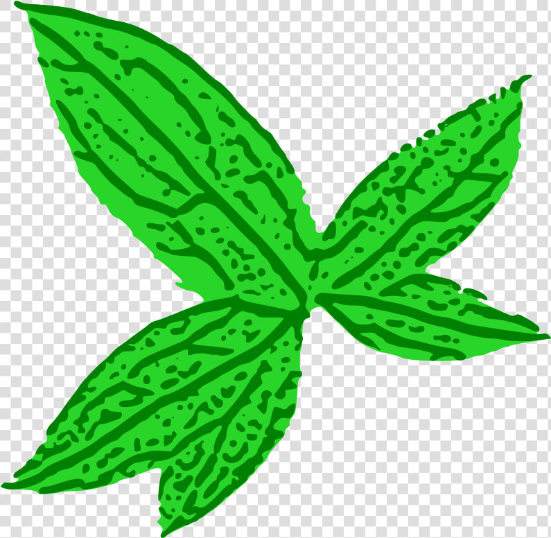 Green Leaf   Green Leaf Clip Art  HD Png DownloadTransparent PNG