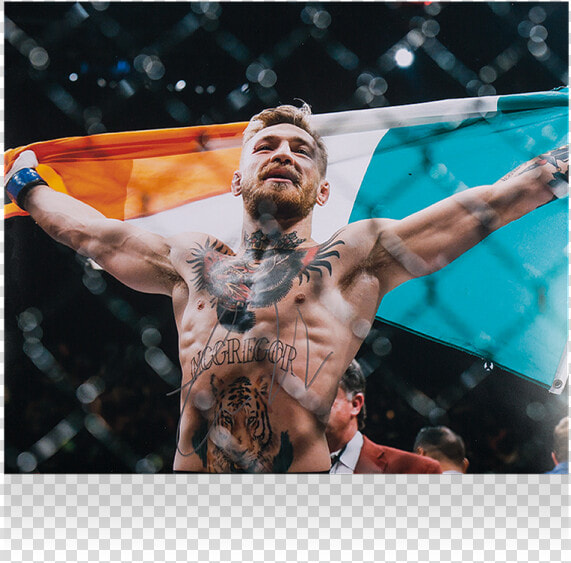 Conor Mcgregor Irish Flag  HD Png DownloadTransparent PNG